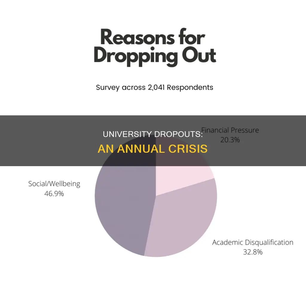 how many students dropout of university each year