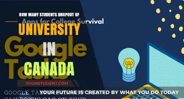 University Dropouts: Canada's Troubling Trend