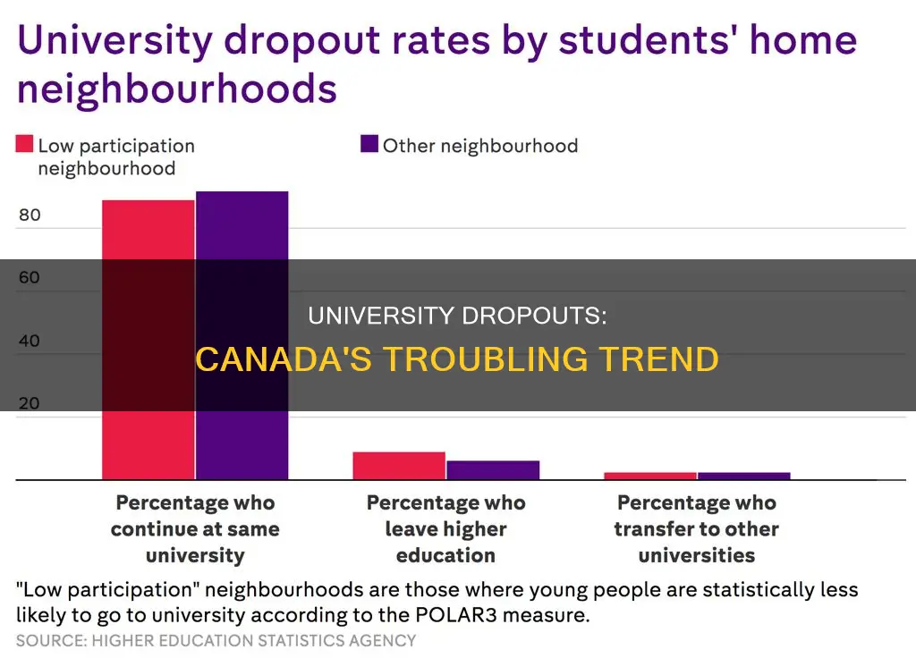 how many students dropout of university in canada