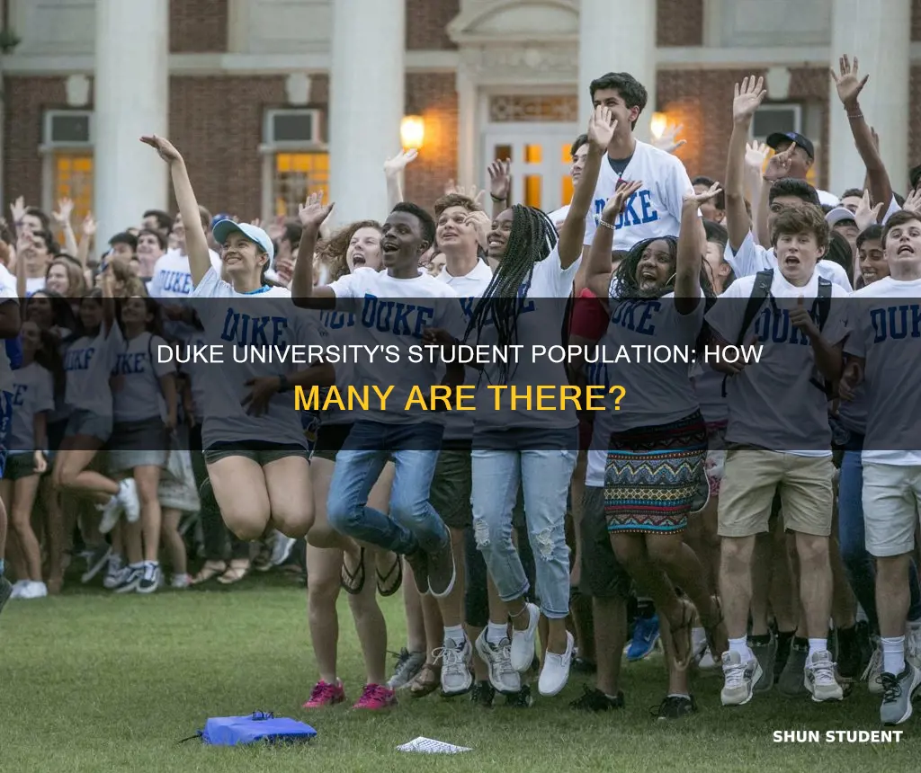 how many students duke university