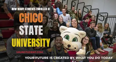 Enrolment Statistics for Chico State University