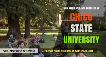 Enrolment Insights: Chico State University's Student Numbers