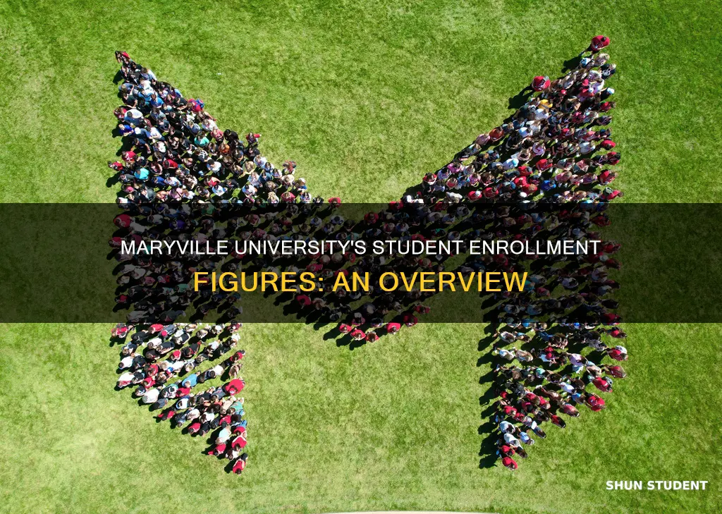 how many students enrolled at maryville university