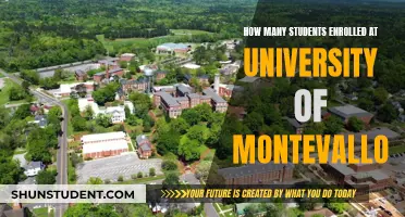 Enrolment Numbers at the University of Montevallo Revealed