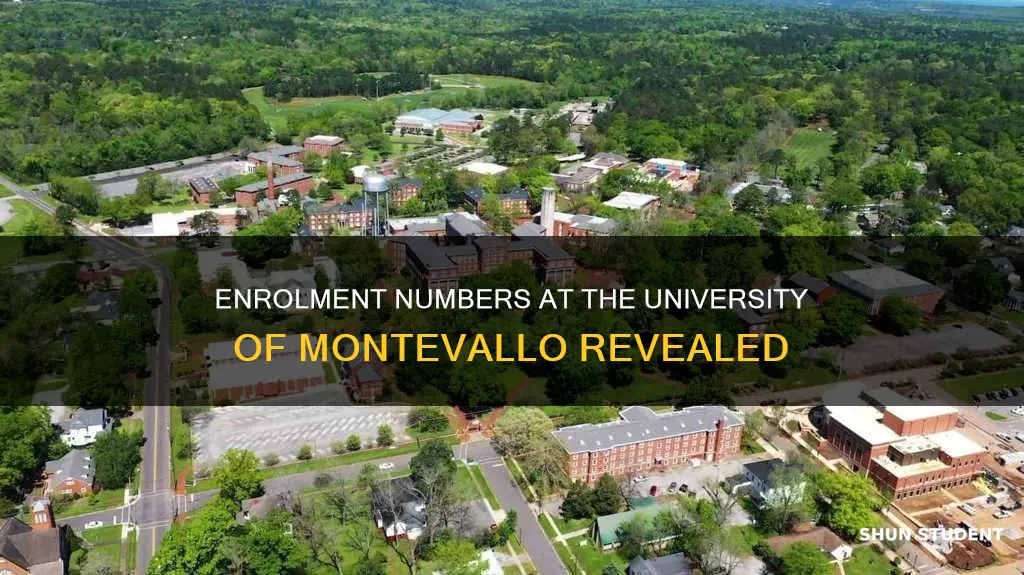 how many students enrolled at university of montevallo