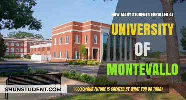 Enrollments Unveiled: University of Montevallo's Student Numbers