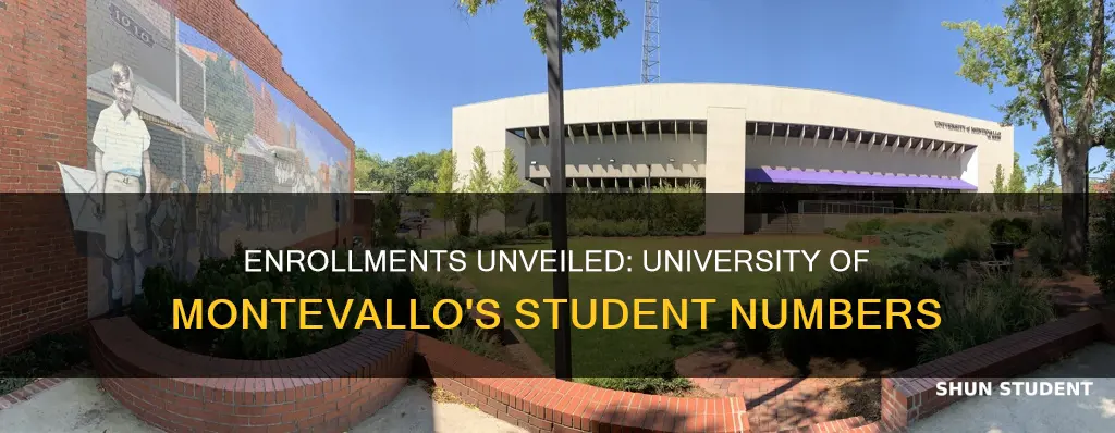 how many students enrolled at university of montevallo