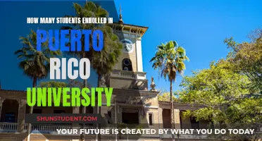 Enrollments Unveiled: Puerto Rico University Student Numbers