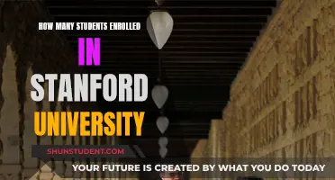 Stanford University's Student Enrollment Figures Unveiled