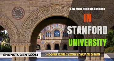 Stanford University's Student Enrollment Figures Unveiled