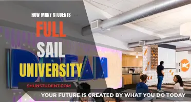 Full Sail University: A Student-Centric Education Hub