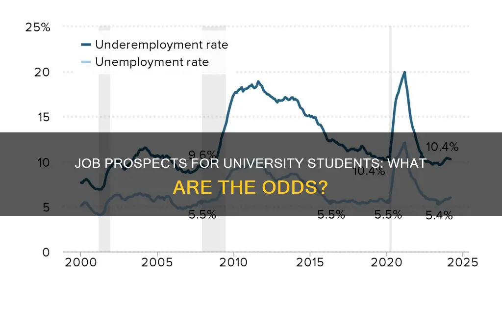 how many students get a job after university