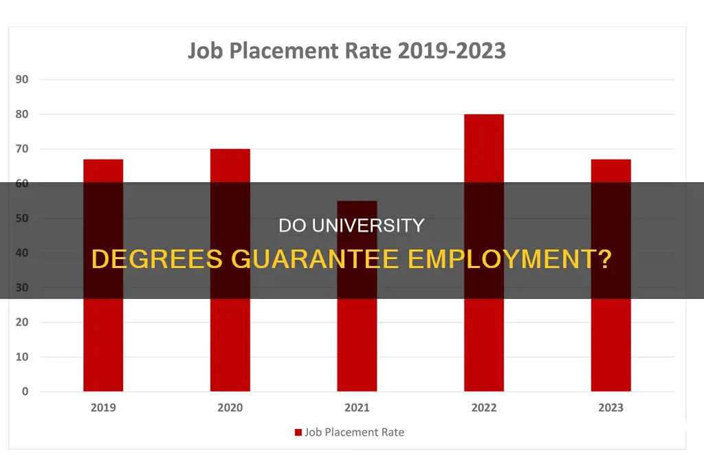how many students get a job after university