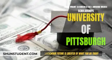 Merit Scholarships at the University of Pittsburgh: Who Gets Them?