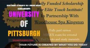 Merit Scholarships at Pitt: Who Gets Them?