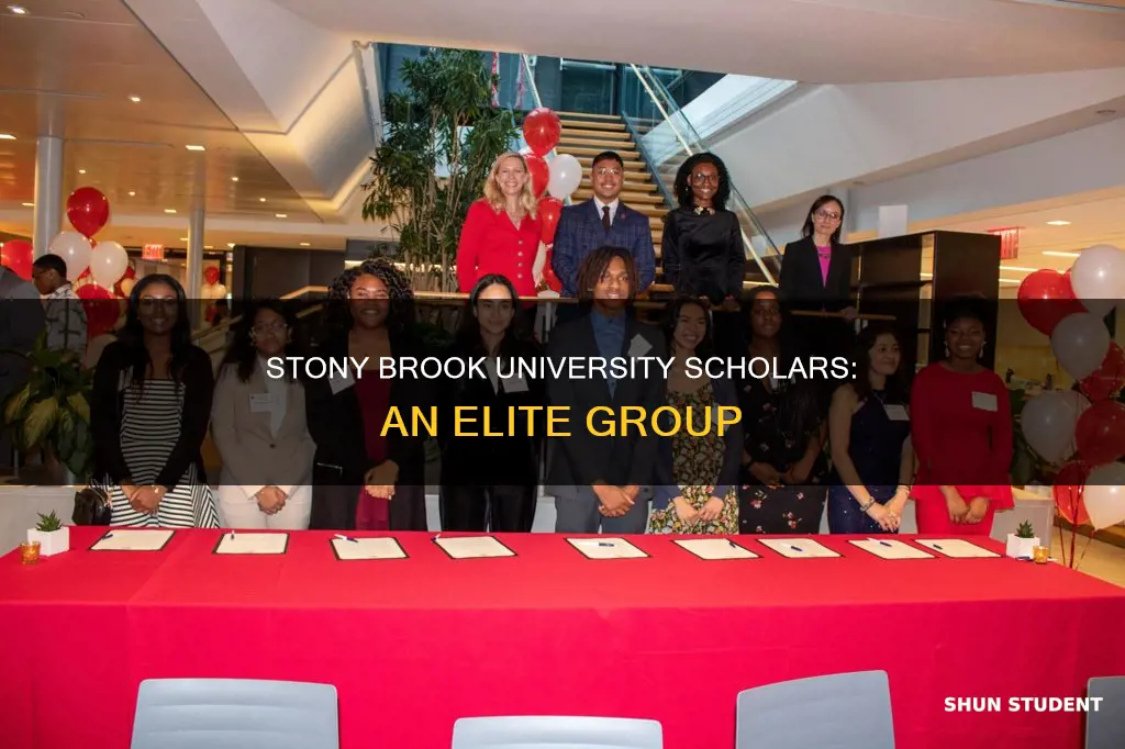 how many students given university scholar status in stony brook