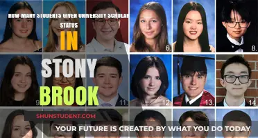 Stony Brook's University Scholars: Recognizing Academic Excellence