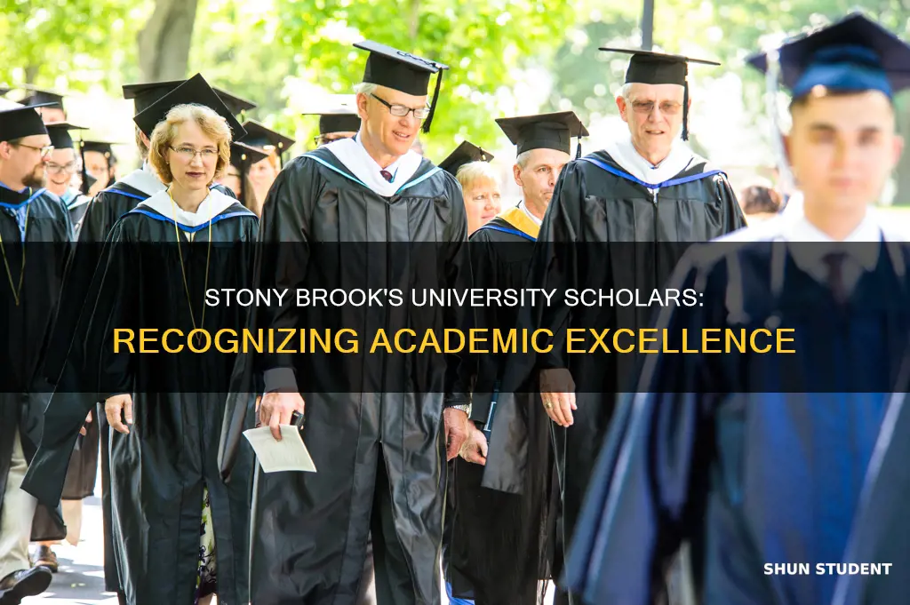 how many students given university scholar status in stony brook