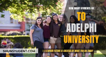 Exploring Adelphi University's Student Population and Campus Vibes