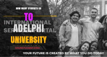Exploring Adelphi University's Student Population