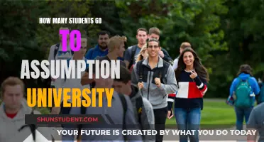 Assumption University's Student Population: A Comprehensive Overview