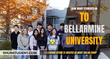 Exploring Enrollment: Bellarmine University's Student Population