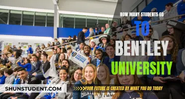 Bentley University's Student Population: An Overview