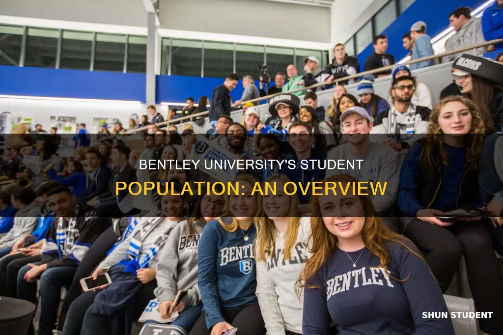 how many students go to bentley university