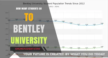 Exploring Bentley University's Student Population