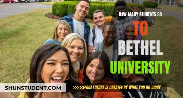 Bethel University's Student Population: How Many Attend?