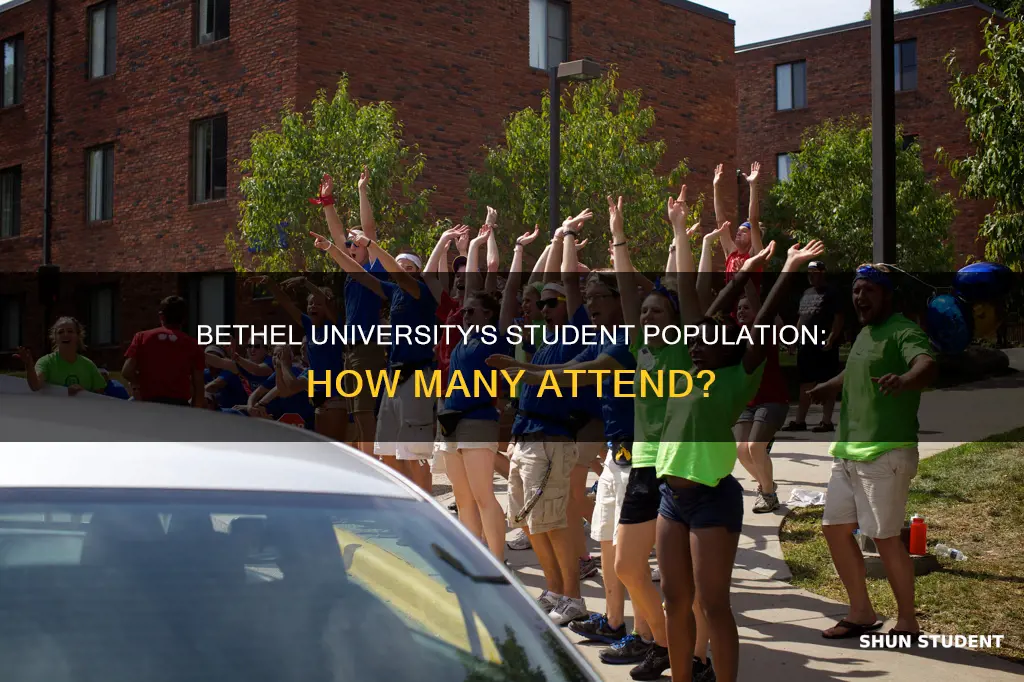 how many students go to bethel university