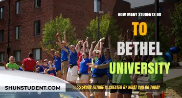 Bethel University: A Thriving Student Community