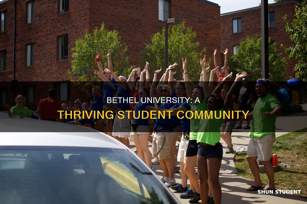 how many students go to bethel university