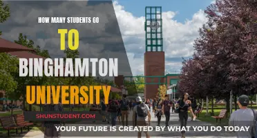 Exploring Enrollment: Binghamton University's Student Population