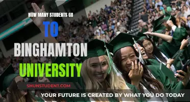 Exploring Binghamton University's Student Population