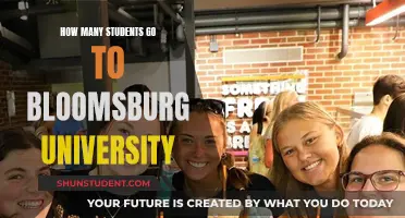 Exploring Enrollment: Bloomsburg University's Student Population