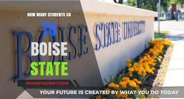 Exploring Boise State: A Look at Student Enrollment Trends