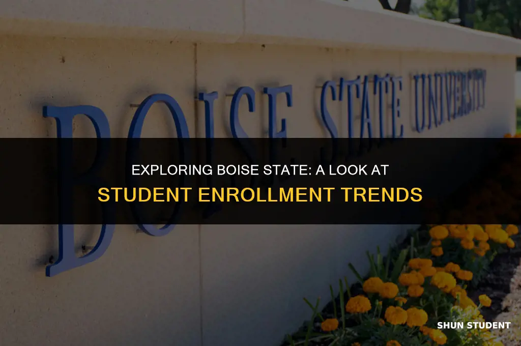how many students go to boise state
