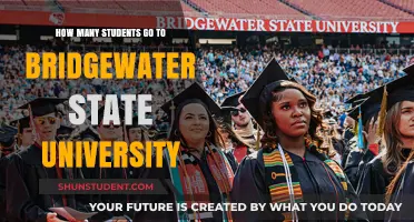 Bridgewater State University: Student Population Insights