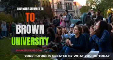 The Student Population of Brown University Explored