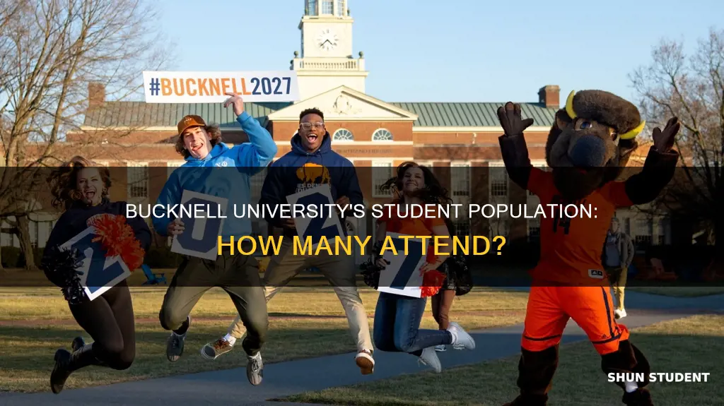 how many students go to bucknell university