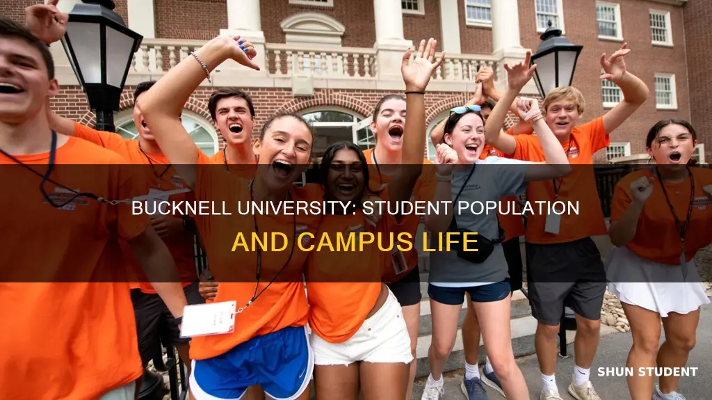 how many students go to bucknell university