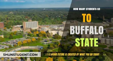 Exploring Enrollment Trends at Buffalo State College
