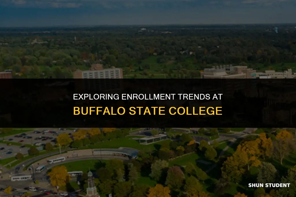 how many students go to buffalo state