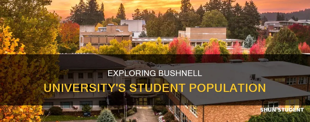 how many students go to bushnell university