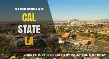 Exploring the Student Population at Cal State LA