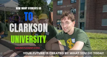 Clarkson University: A Small Student Body, Big Opportunities