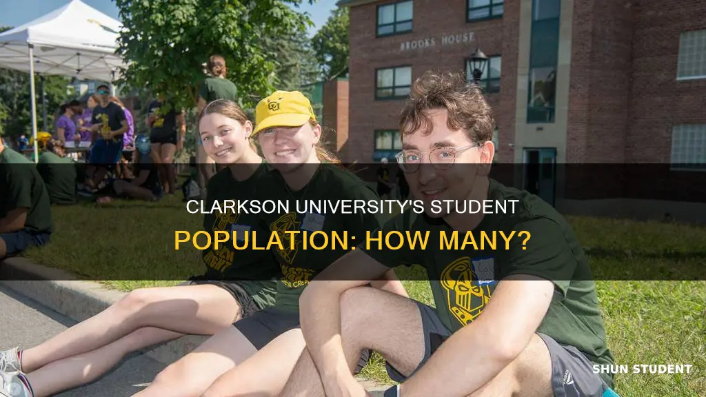 how many students go to clarkson university