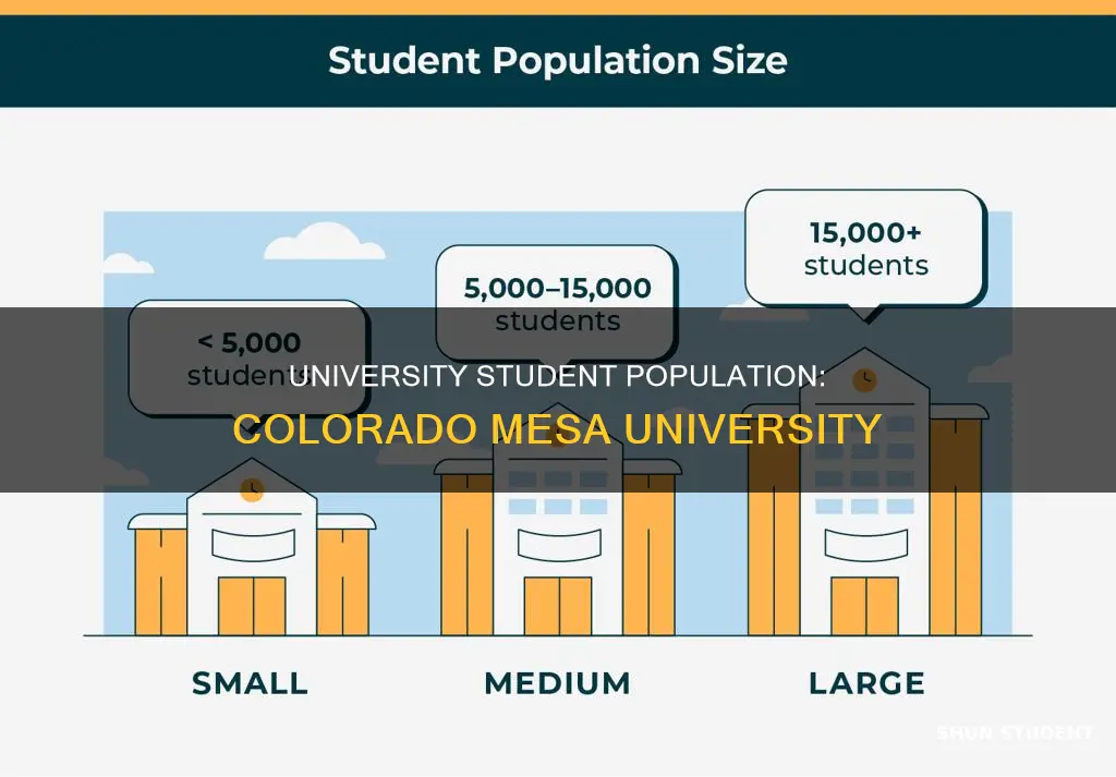how many students go to colorado mesa university