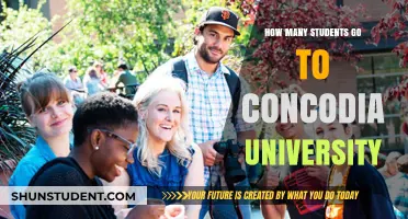 Montreal's Concordia University: A Student Hub